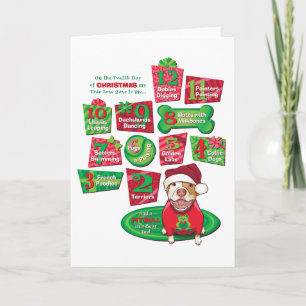 Cartes Pour Fêtes Annuelles 12 Chiens de Noël