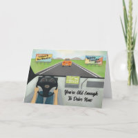 16ème Anniversaire Assez Pour Conduire