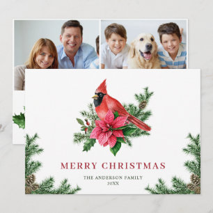 Cartes Pour Fêtes Annuelles 2 PHOTO Poinsettia Cardinal Rouge voeux de Noël