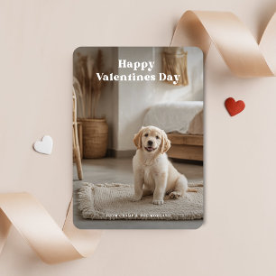 Cartes Pour Fêtes Annuelles 2 Photo Puppy Animaux Retro Chien Valentines Jour