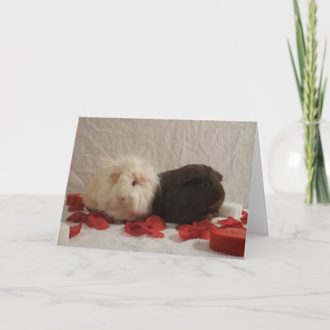Cartes Pour Fêtes Annuelles 2 Valentines de cochon de Guinée (Devant)