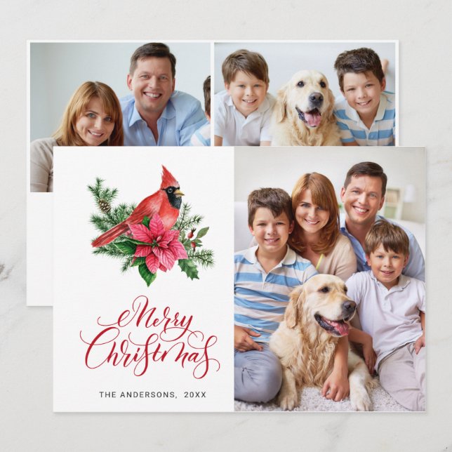 Cartes Pour Fêtes Annuelles 3 PHOTO Poinsettia Cardinal Rouge voeux de Noël (Devant / Derrière)