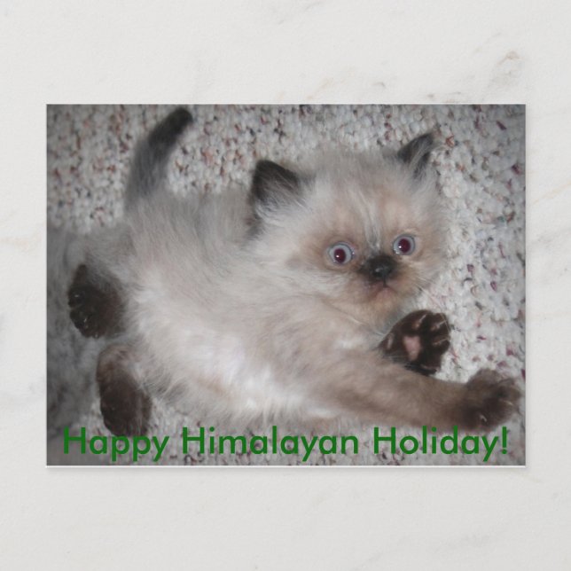 Cartes Pour Fêtes Annuelles 5x7zazzle, Happy Himalayan Holiday! (Devant)