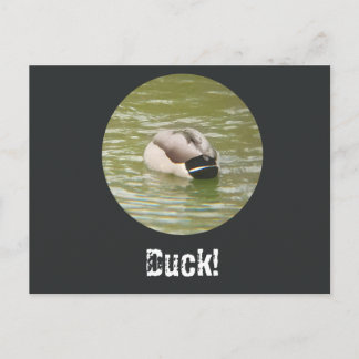 Cartes Pour Fêtes Annuelles A Ducking Duck Postcard