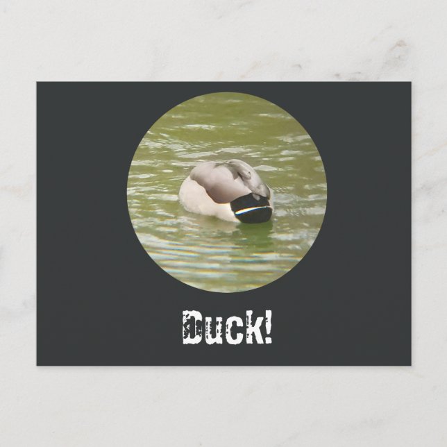 Cartes Pour Fêtes Annuelles A Ducking Duck Postcard (Devant)