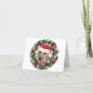 Cartes Pour Fêtes Annuelles À Noël - Labrador Retriever