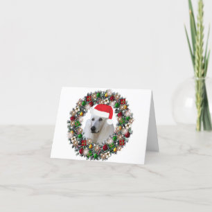 Cartes Pour Fêtes Annuelles À Noël - Poodle standard