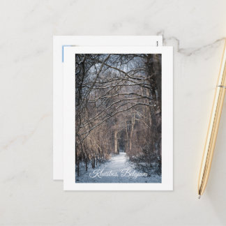 Cartes Pour Fêtes Annuelles A Winters Day in Kluisbos Belgium