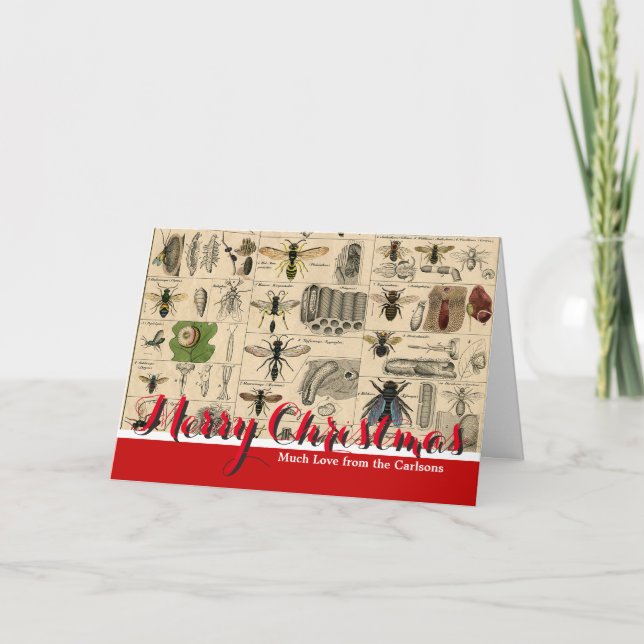 Cartes Pour Fêtes Annuelles Abeille Insecte Bug Wasp Nature Peinture des abeil (Devant)