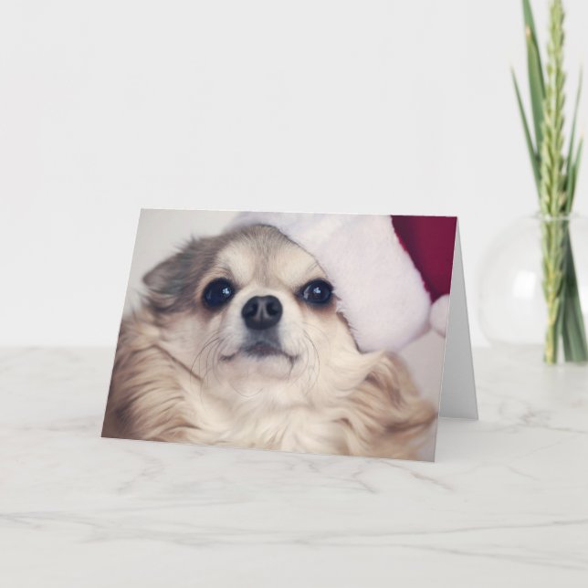 Cartes Pour Fêtes Annuelles Acclamation de chienchien de Noël (Devant)