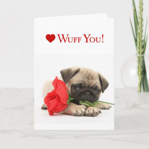 Cartes Pour Fêtes Annuelles Adorable Carlin Chiot Valentine avec une Rose Roug