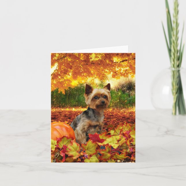 Cartes Pour Fêtes Annuelles Affaire Thanksgiving - Tucker - Yorkie (Devant)