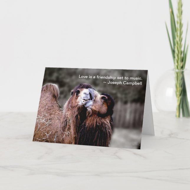 Cartes Pour Fêtes Annuelles Affiche Camel Kiss (Devant)