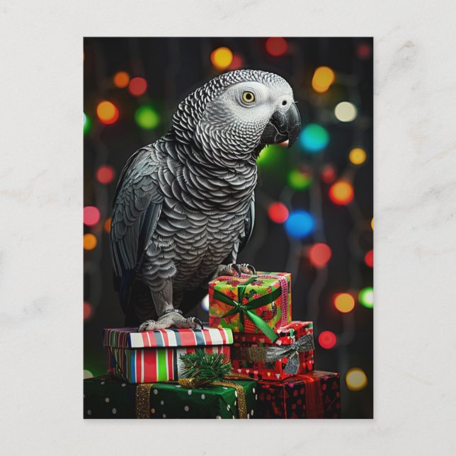 Cartes Pour Fêtes Annuelles African Grey on Gifts — Festive Greeting Card (Devant)