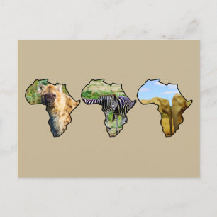Cartes Pour Fêtes Annuelles Afrique Faune Continent Trio Faune Photos