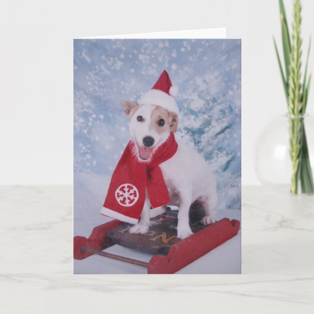 Cartes Pour Fêtes Annuelles Aide de Jack Russell Père Noël (Devant)