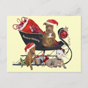 Cartes Pour Fêtes Annuelles Aides de Pitbill Terrier Père Noël