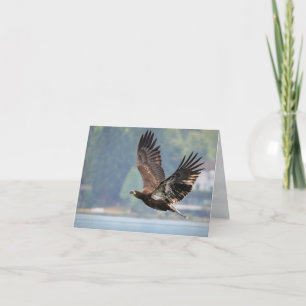 Cartes Pour Fêtes Annuelles Aigle à tête jaune au-dessus du lac Washington Bla