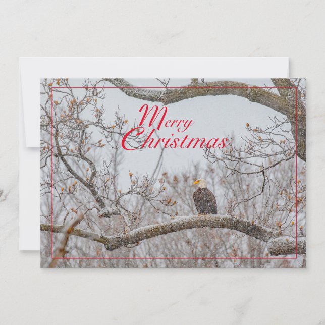 Cartes Pour Fêtes Annuelles Aigle Dans La Tempête De Neige (Devant)