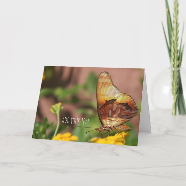 Cartes Pour Fêtes Annuelles Ailes papillons - Papillons et dauphins (Devant)