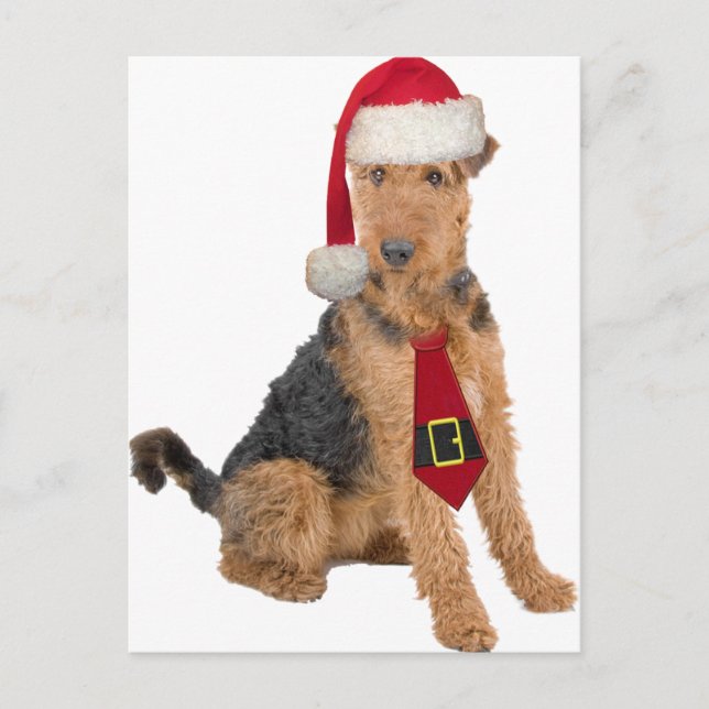 Cartes Pour Fêtes Annuelles Airedale Terrier dans le casquette de Père Noël (Devant)