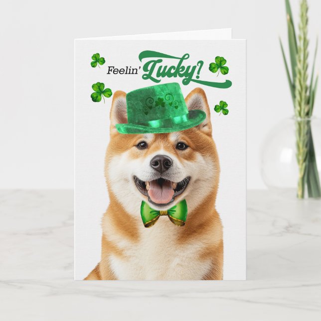 Cartes Pour Fêtes Annuelles Akita Dog Feelin' Lucky St Patrick's Day (Devant)