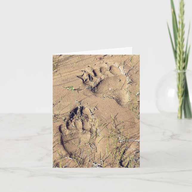 Cartes Pour Fêtes Annuelles Alaskan Grizz Tracks - 4" x 5.6" Notecard (Devant)