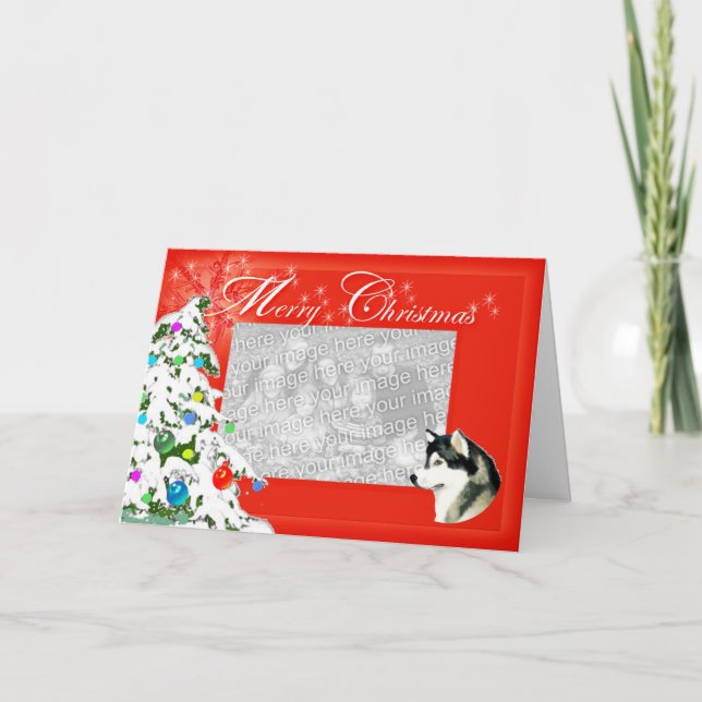 Cartes Pour Fêtes Annuelles Alaskan Malamute Christmas Photocard (Devant)