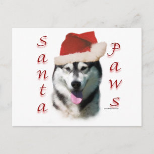 Cartes Pour Fêtes Annuelles Alaskan Malamute Père Noël Paws