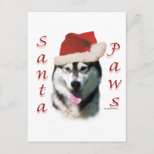 Cartes Pour Fêtes Annuelles Alaskan Malamute Père Noël Paws