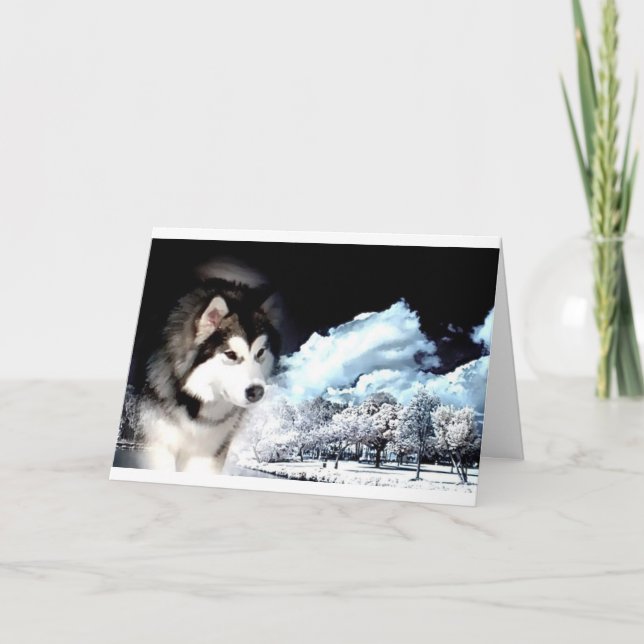 Cartes Pour Fêtes Annuelles Alaskan Malamute voeux de Noël (Devant)