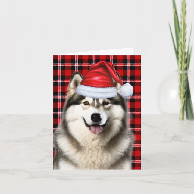 Cartes Pour Fêtes Annuelles Alaskien Malamute Noël Chien de vacances Plaid (Devant)