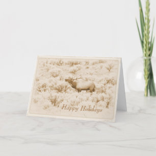 Cartes Pour Fêtes Annuelles Albumen Bugling Bull Elk Custom Happy Holidays