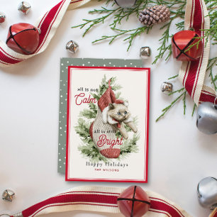 Cartes Pour Fêtes Annuelles All Is Not Calm Funny Chat in Stocking Noël