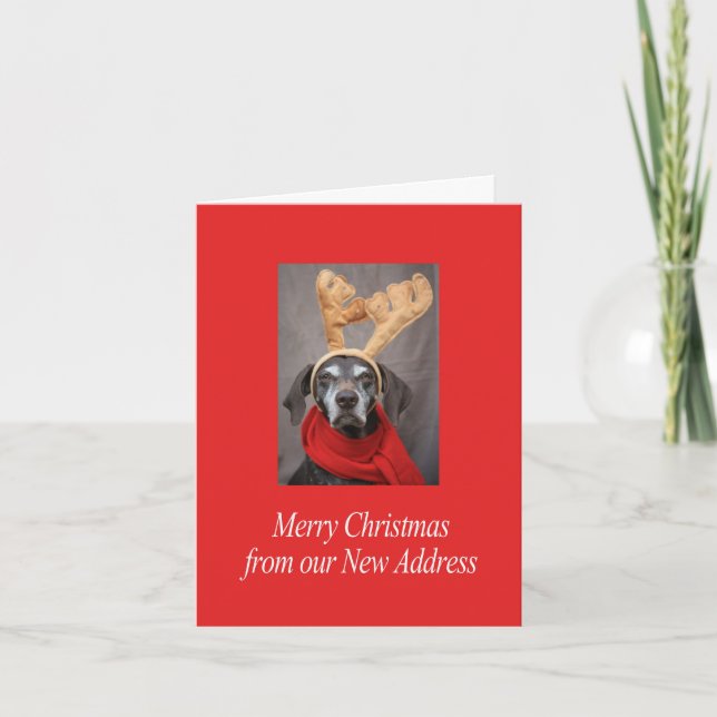 Cartes Pour Fêtes Annuelles Allemand Raccourci Joyeux Noël Nouvelle adresse (Devant)