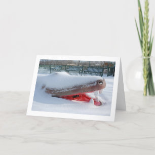 Cartes Pour Fêtes Annuelles Alligator