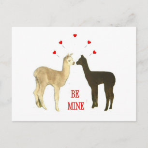 Cartes Pour Fêtes Annuelles Alpaca be mine Valentine