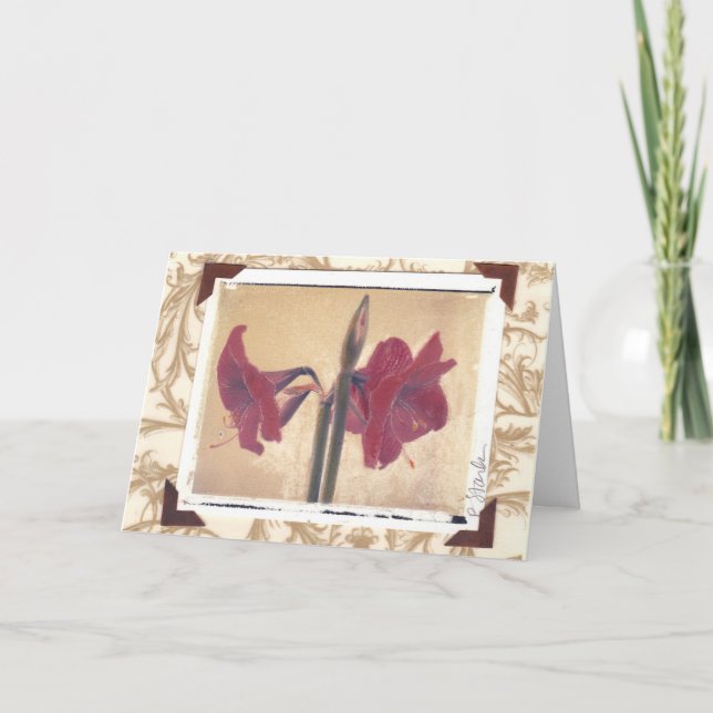 Cartes Pour Fêtes Annuelles amaryllis_2 (Devant)