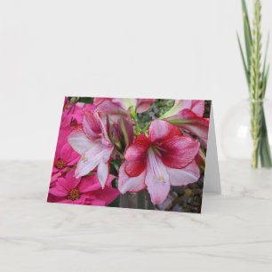 Cartes Pour Fêtes Annuelles Amaryllis et Poinsettia Fleurs de Fêtes Rouges