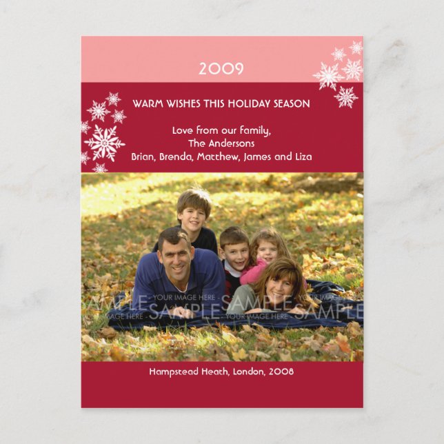 Cartes Pour Fêtes Annuelles Amaryllis Snowflakes : Photo de Christma Postcard (Devant)