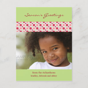 Cartes Pour Fêtes Annuelles Amaryllis Stars : Postcard