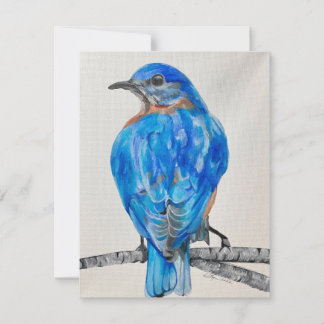 Cartes Pour Fêtes Annuelles American Bluebird 