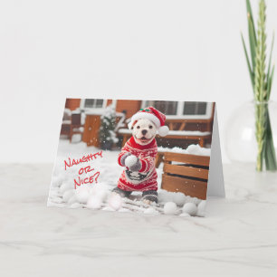 Cartes Pour Fêtes Annuelles American Buldog Pup Making Snowballs Card