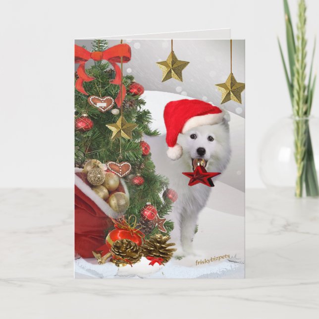 Cartes Pour Fêtes Annuelles American Eskimo Christmas Star Cards (Devant)