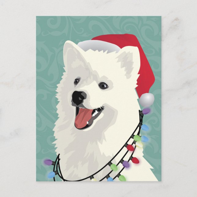 Cartes Pour Fêtes Annuelles American Eskimo Samoyé mignon Chien Chien Chien Ch (Devant)