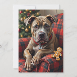 Cartes Pour Fêtes Annuelles American Staffordshire Terrier Noël Cosy