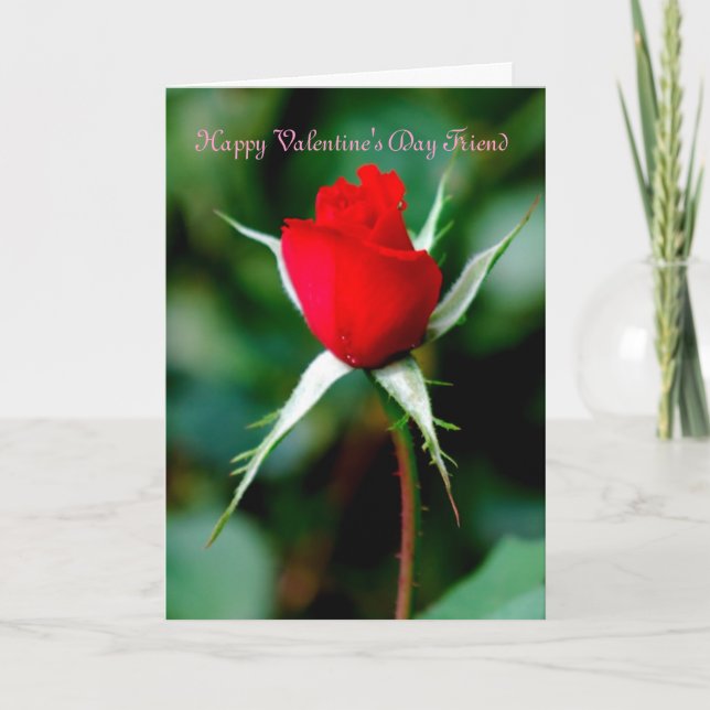 Cartes Pour Fêtes Annuelles Ami de heureuse Sainte-Valentin (Devant)