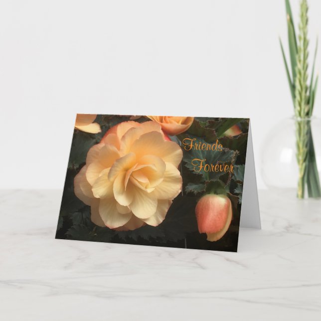 Cartes Pour Fêtes Annuelles Amis pour toujours (Devant)