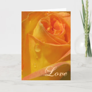 Cartes Pour Fêtes Annuelles Amour