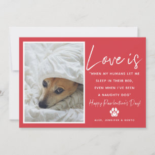 Cartes Pour Fêtes Annuelles Amour amusant est animal de compagnie Saint-Valent